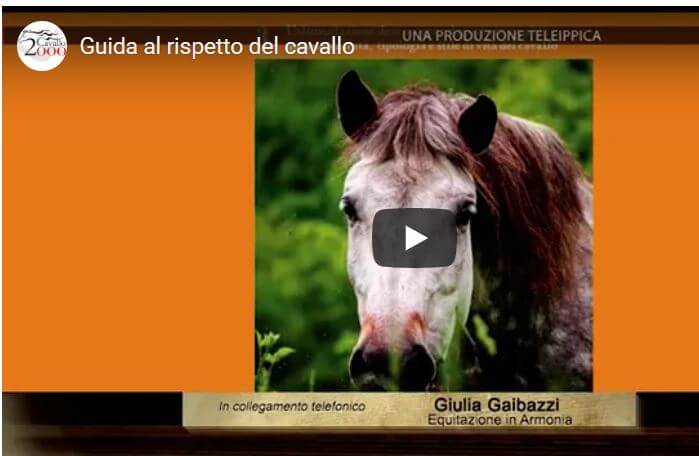 Intervista a Giulia Gaibazzi, autrice di "Guida al rispetto del cavallo"